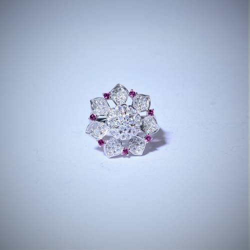 Spinner silver ring for women