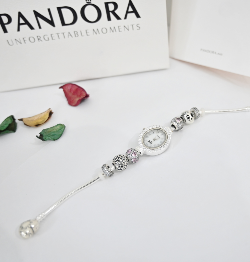 S925 Silver Pandora Bracelet! Including a Video! 🎬 – Ali Plus