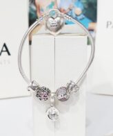 Silver Pandora Pandora Sparkling Owl Charm Bracelet For Women